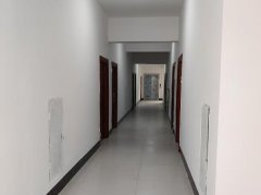 整栋全新出租旺铺、多套单间公寓