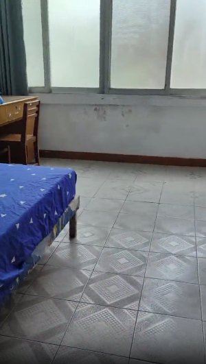 低价招租或出售单位套房2房1厅 低价招租或出售单位套房2房1厅