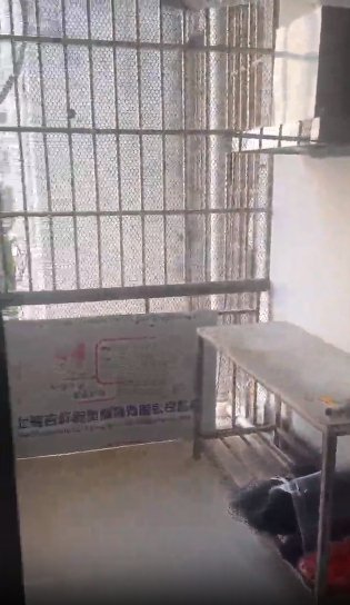 田阳合源美地天地楼,3楼2房1卫出租 田阳合源美地天地楼,3楼2房1卫出租